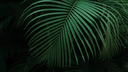 The 1 tool that helps remote teams collaborate better demo_image-7