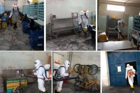 Parceria da Prefeitura de Eunápolis e Correios na pandemia é modelo no combate à Covid