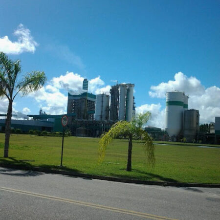 Veracel Celulose: três novas oportunidades de emprego disponíveis