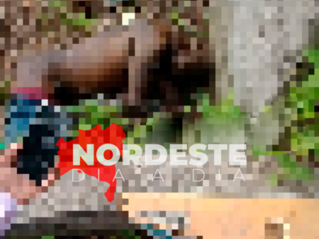 Corpo encontrado com sinais de violência em Porto Seguro