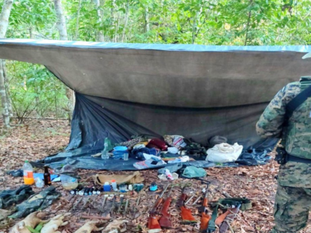 Suspeito de crime ambiental é preso em flagrante pela Cippa Porto Seguro
