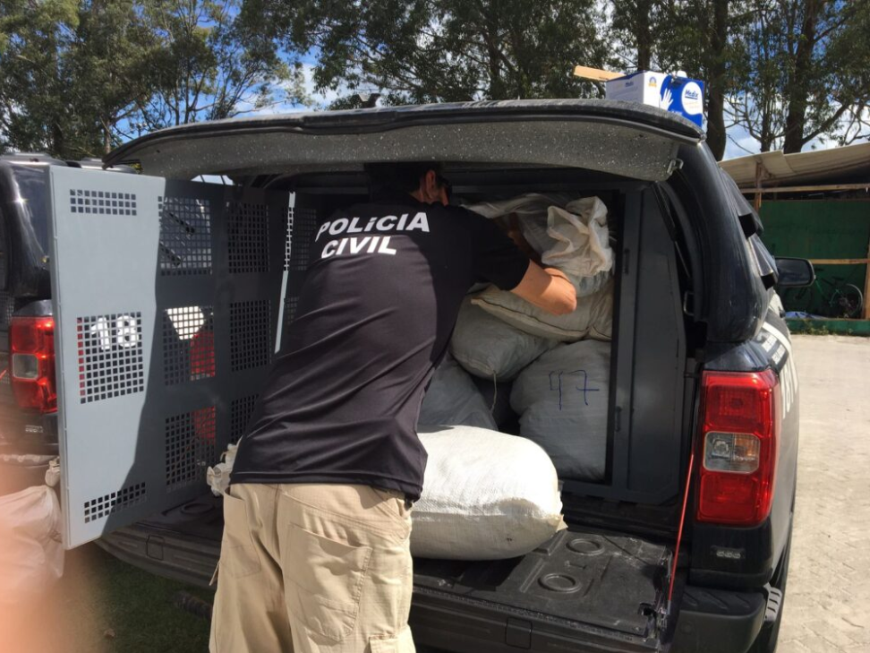 Mais de uma tonelada de drogas é incinerada em operação conjunta da Polícia Civil