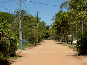 Corpos de indígenas são encontrados próximos à Aldeia Barra Velha