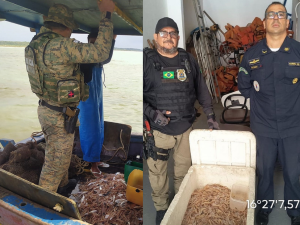 Operação ambiental apreende mais de 80 quilos de camarão pescados ilegalmente em Porto Seguro
