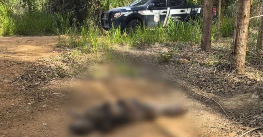 Polícia investiga descoberta de corpo em decomposição em plantação de eucalipto