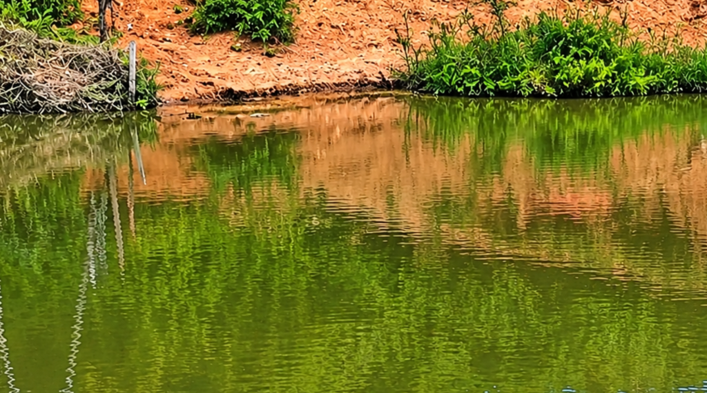 Jovem morre afogado em represa de fazenda na zona rural de Itabela